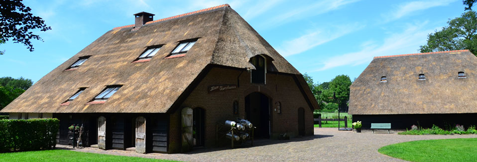 Onderhoud rieten dak boerderijen